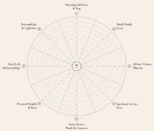 Read more about the article The Balance Wheel – Self Reflection